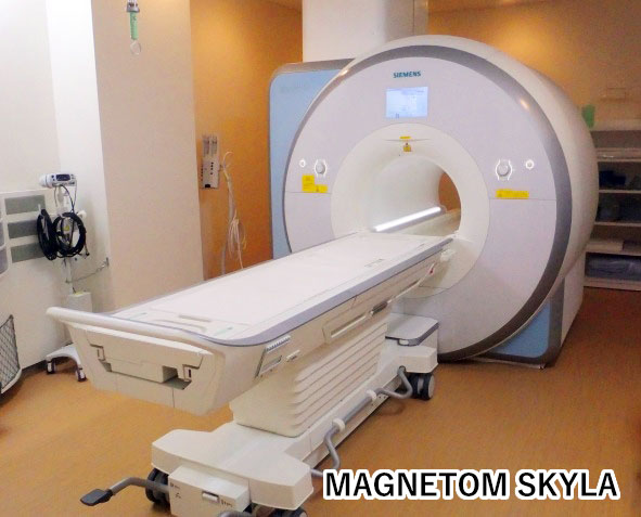 MAGNETOM SKYLA