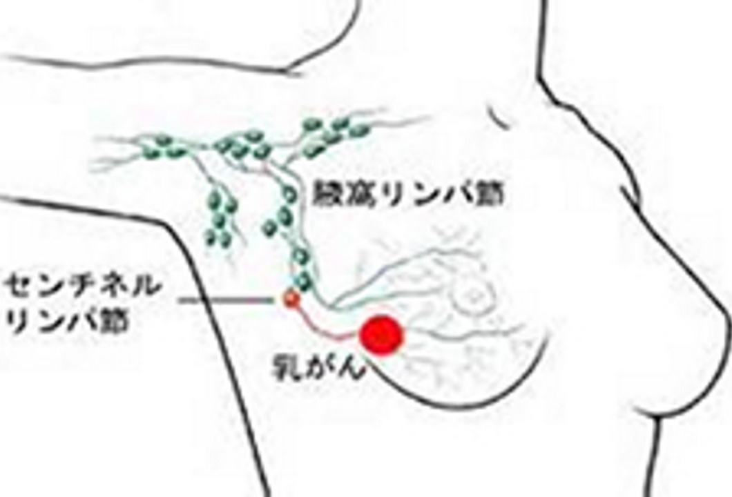 外科 市立三次中央病院