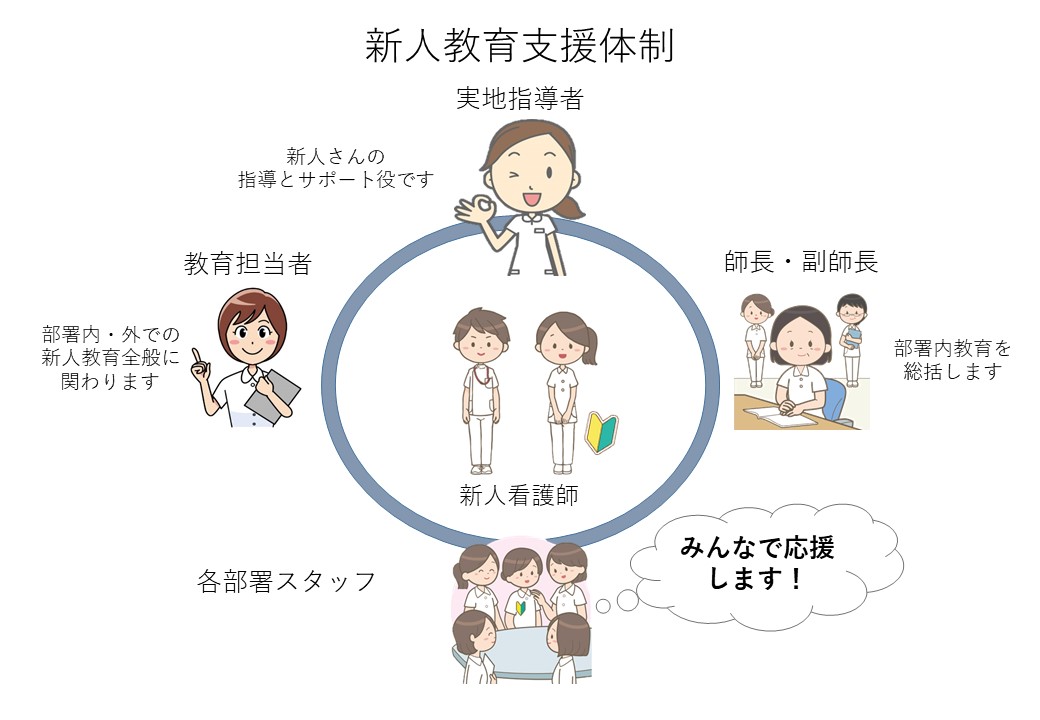 新人教育体制図