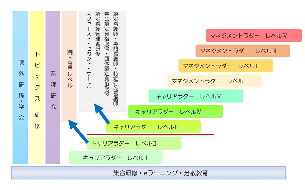 市立三次中央病院教育体系図